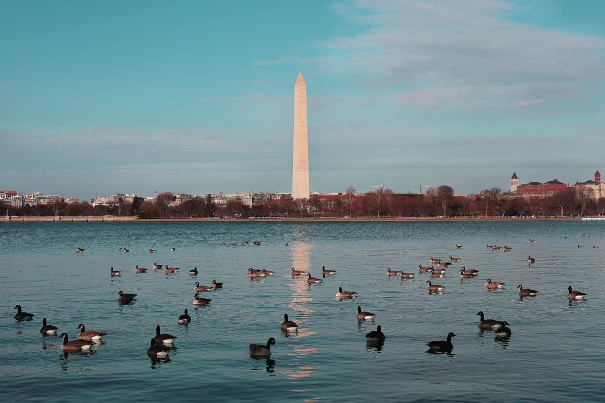 The Washington Monument at dusk, seen across the water